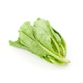 thumbnail image 1 of Mustard Baby., 1 Bag, 0.40 - 1.00 KG, 1 of 1