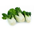 thumbnail image 1 of Jeune bok choy Sac de 1 lb, 1 of 1