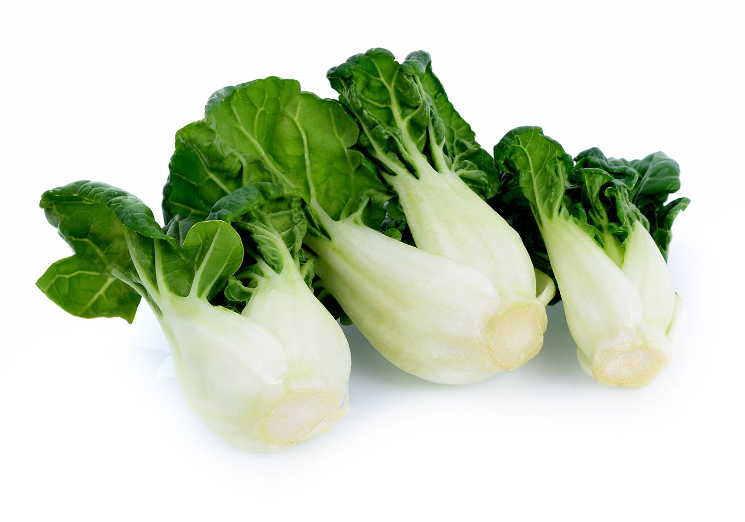 Bok Choy, Baby, 1 lb Bag, 0.45 - 0.70 KG