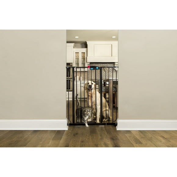 Carlson Pet Products Black Extra Tall Gate with Pet Door