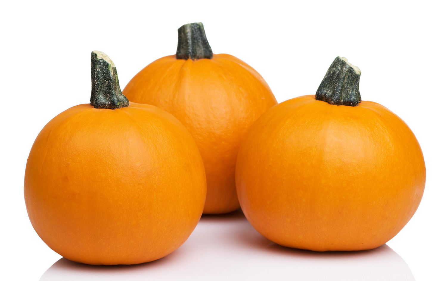 Pumpkin, Pie, Single