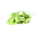 thumbnail image 1 of Bean, Valor, Sold in trays, 0.30 - 0.34 KG, 1 of 1