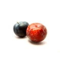 thumbnail image 1 of Prune rouge, Vendues individuellement, 0.10 - 0.14 KG, 1 of 1