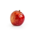 thumbnail image 1 of Apple, Gravenstein, Sold in singles, 1 of 1