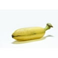 thumbnail image 1 of Banana, Baby, Sold in singles, 1 of 1