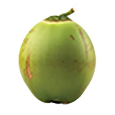 Coconut, Green, Sold in singles