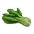 thumbnail image 1 of Baby Mustard, 1 of 1