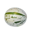 thumbnail image 1 of Dino Melon, Sold in singles, 1 of 1