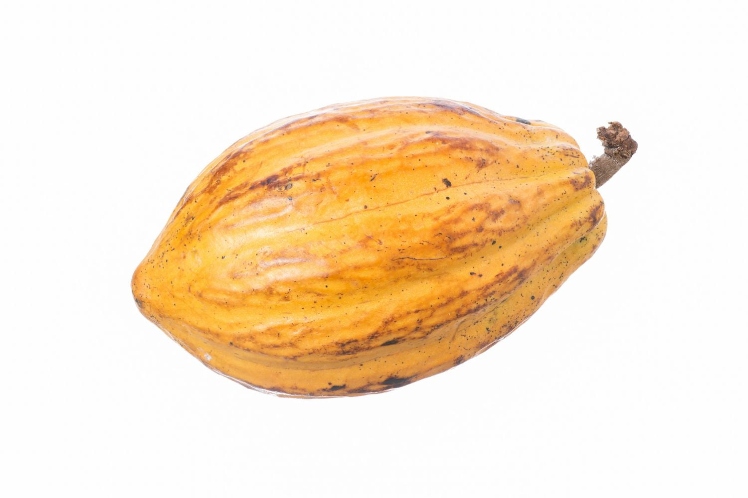 Cacao