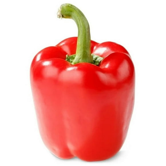 SUNSET Red Bell Pepper, Red Bell Pepper, Single, 0.12 - 0.24 KG