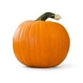 thumbnail image 1 of Carving Pumpkin, Sold in singles, 1 of 1