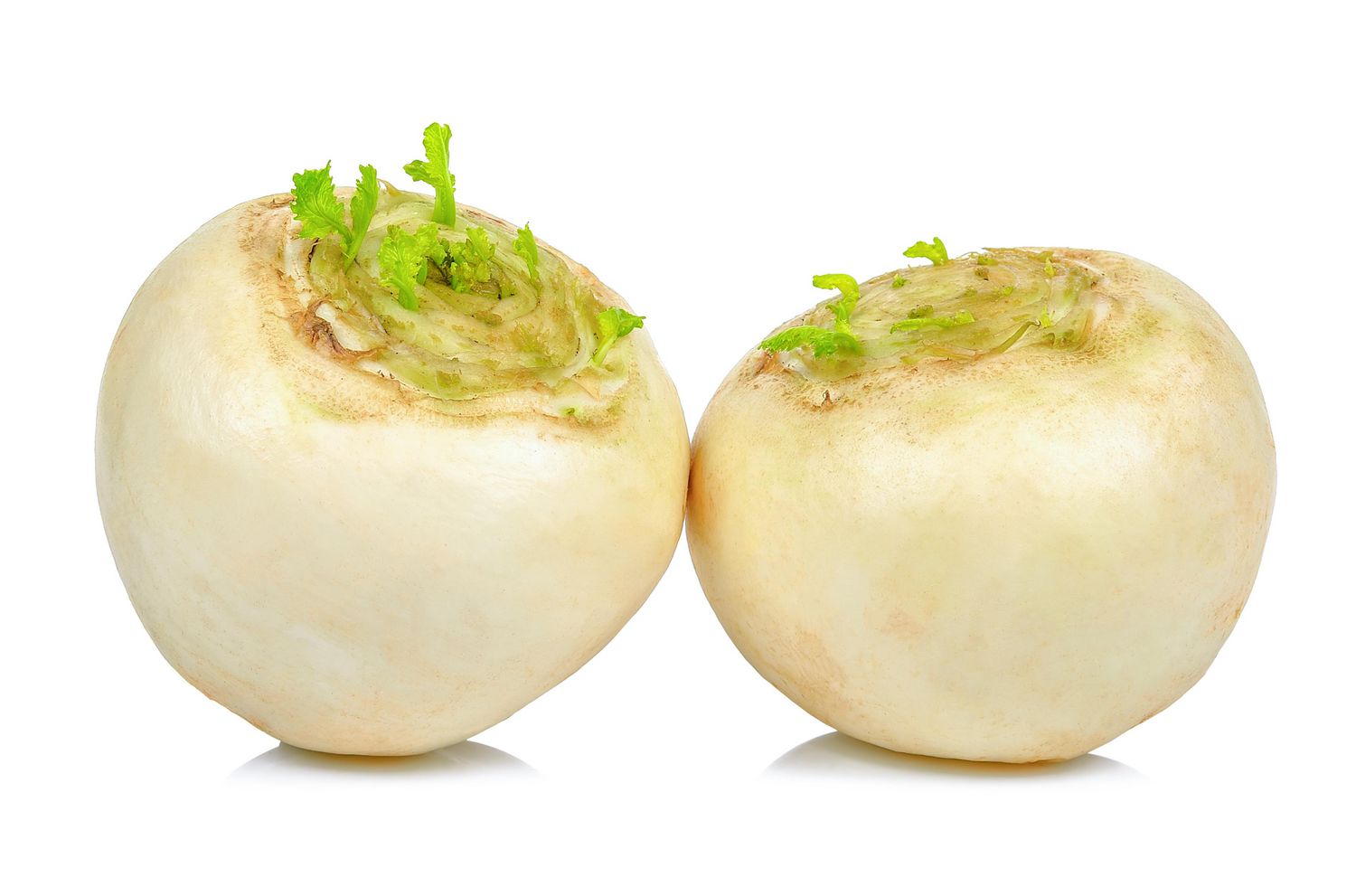 kg,　White,　1.00　kg　Turnips,　1.00