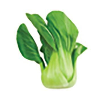 Bok Choy, Bébé de Shanghai Vendu en grappes