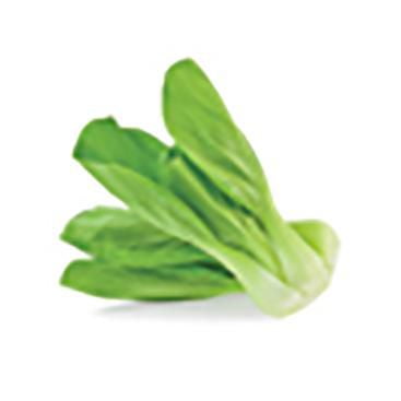 Un Choy 1 Borsa