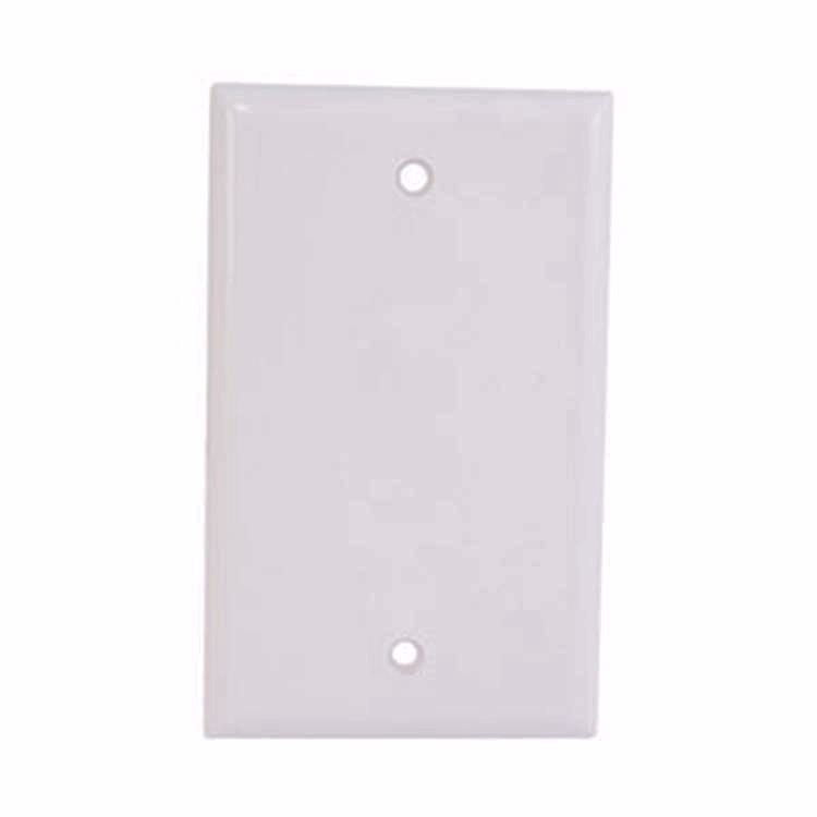 Digiwave Blank Wall Plate w/Screws (DGA63003) Walmart Canada