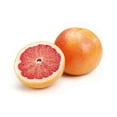 thumbnail image 1 of Grapefruit, 1 of 1