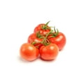 thumbnail image 1 of Organic Tomatoes on A Vine, 4-6 tomatoes, 0.42 - 0.51 KG, 1 of 3