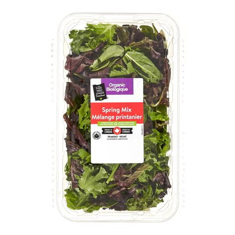 Your Fresh Market Organic Spring Mix, 283 g - Walmart.ca