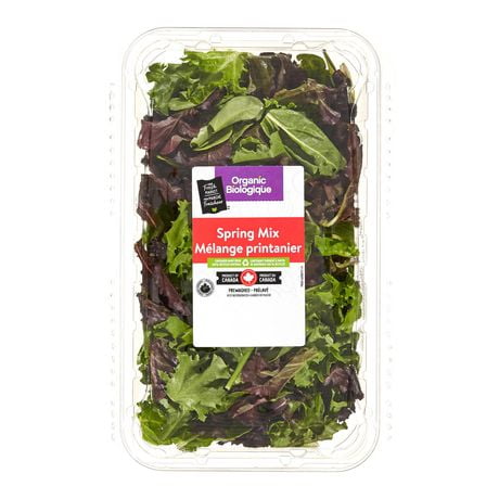 Your Fresh Market Organic Spring Mix, 283 g
