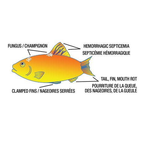 fish penicillin petsmart