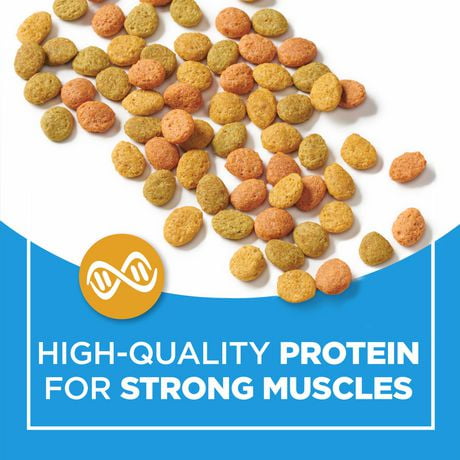 purina cat chow codes