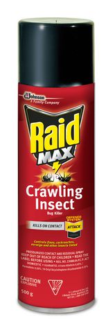 Raid Max Crawling Insect Killer - 500g | Walmart Canada