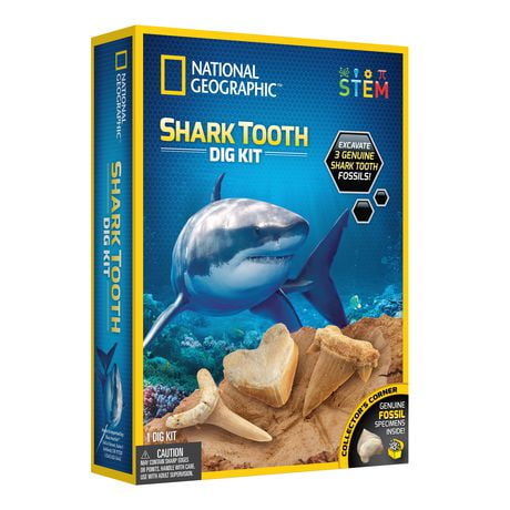 National Geographic Trousse de Fouille Dent de Requin 3 véritables dents de requin