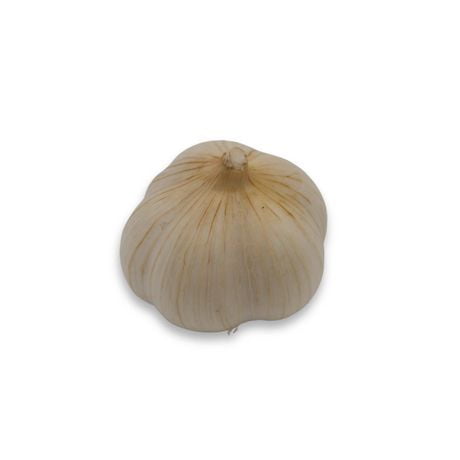 Garlic, Pack of 3
