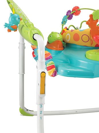 Fisher-Price First Steps Play Jumperoo | Walmart.ca