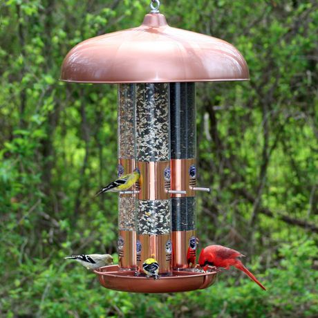 cardinal bird feeder best