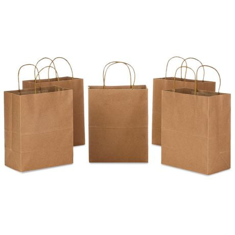 Hallmark 9" Medium Kraft Gift Bags (Pack of 5) for Birthdays, Bridal Showers, Baby Showers, Graduations, Party Favors, Crafts, Kraft Gift Bags (Pack of 5)