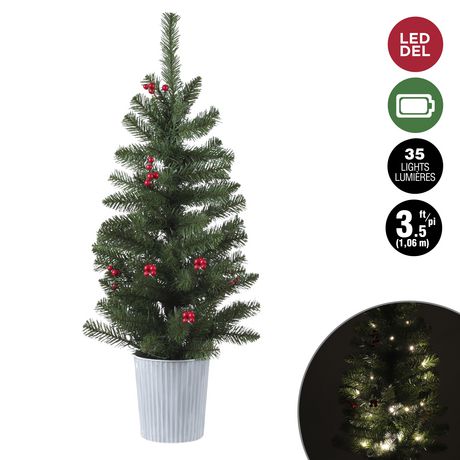 Christmas Tree - Shop Christmas Trees Online