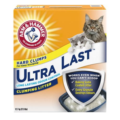 arm and hammer non clumping cat litter