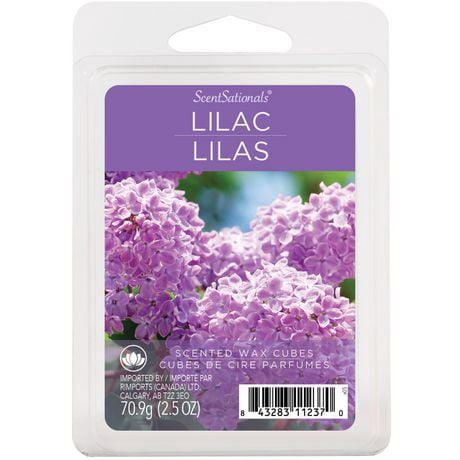 Cubes de cire parfumée ScentSationals - Lilas 2,5 fois (70,9 g)
