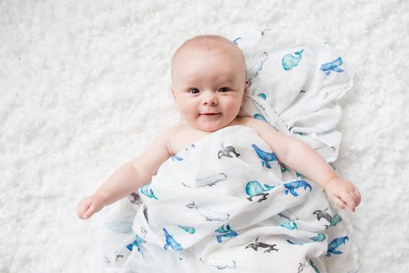 swaddle sheet