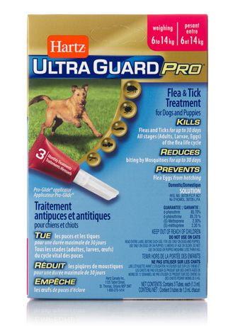 Hartz Ultraguard plus Flea & Tick Treatment for Dogs And Puppies 6 to ...