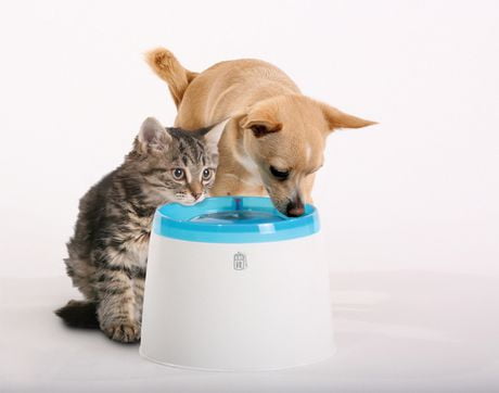 Catit Design Fresh And Clear Drinking Fountain | Walmart Canada