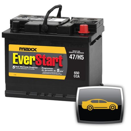 EverStart AUTO MAXX-47N, 12 Volt, Car Battery, Group Size 47, 650 CCA, EverStart, Car Battery