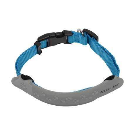 nite dawg collar