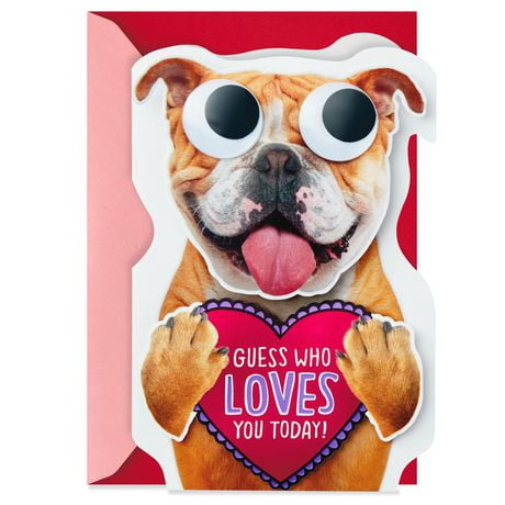 Hallmark Funny Valentines Day Card (Dog with Googly Eyes)