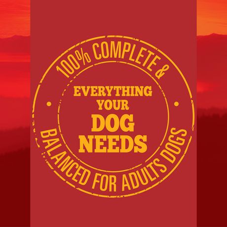 purina dog food feeding guide