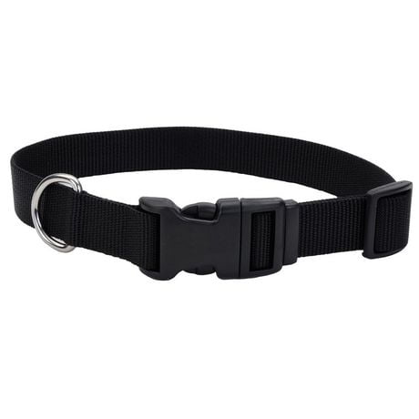 Pet Attire by Coastal Medium 12-18" Black Adjustable Buckle Dog Collar, Medium Adjustable Collar