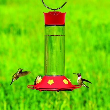 Perky-Pet 30 oz “Our Best” Glass Hummingbird Feeder | Walmart Canada