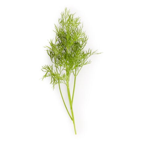 Dill, 7 g tray - Walmart.ca