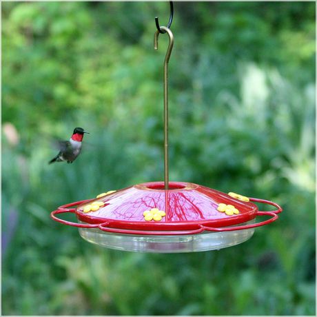 Perky Pet 16 Oz Hummingbird Oasis Hummingbird Feeder Walmart Canada