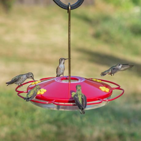 Perky-Pet 221 Hummingbird Oasis 16-Ounce Hummingbird Feeder