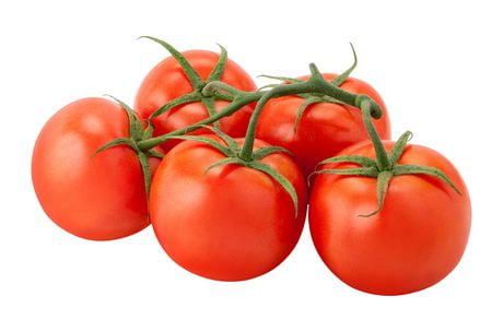 Tomatoes, On-the-vine 