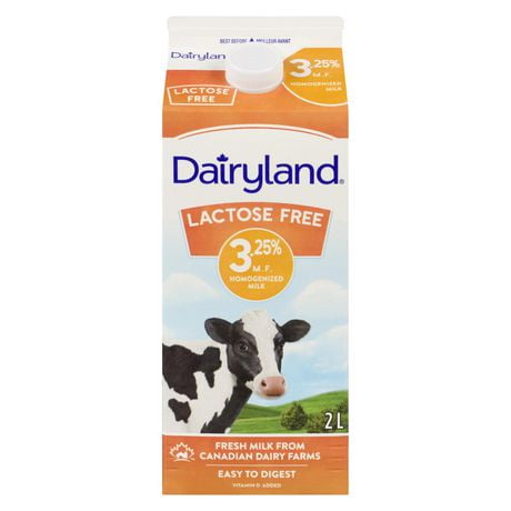 Dairyland Lactose Free 3 25 Milk Walmart Canada
