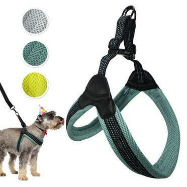 Aspen Dog Harness - Walmart.ca