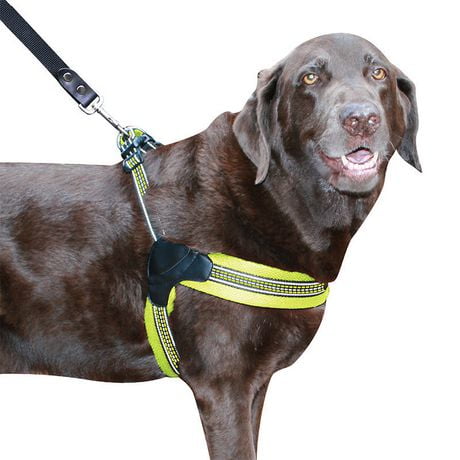 Sporn Easy Fit Harness Harness